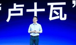 今日爆料卢伟冰简介视频,揭秘手机行业领军人物背后的故事