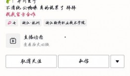 迅雷吃网红瓜,揭秘网红圈那些不为人知的幕后故事